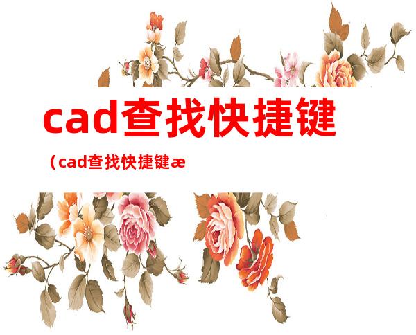 cad查找快捷键（cad查找快捷键文字）