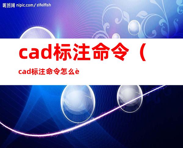cad标注命令（cad标注命令怎么输入）
