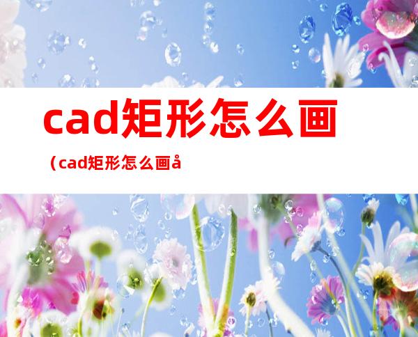 cad矩形怎么画（cad矩形怎么画出来是白色的）