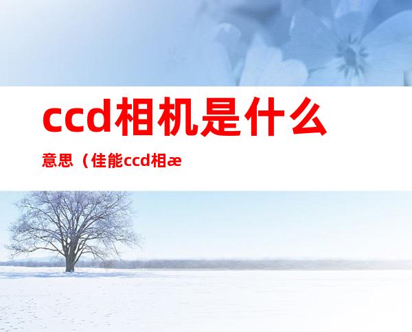 ccd相机是什么意思（佳能ccd相机是什么意思）