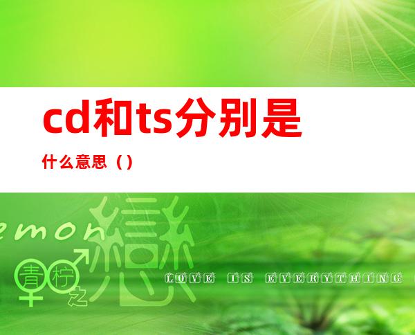 cd和ts分别是什么意思（）