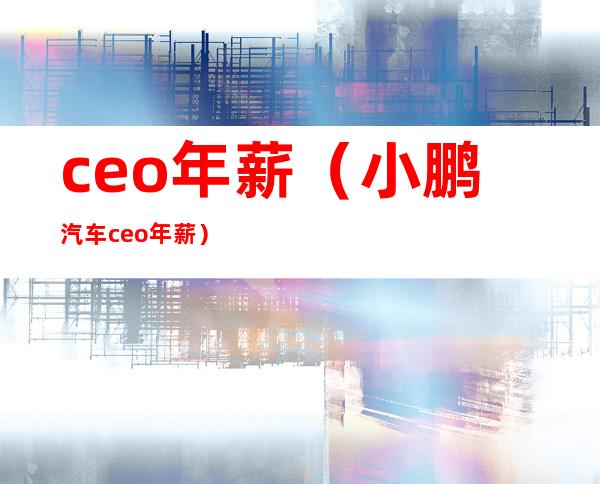 ceo年薪（小鹏汽车ceo年薪）