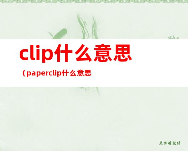 clip什么意思（paper clip什么意思）