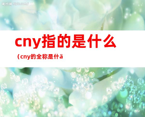 cny指的是什么（cny的全称是什么）