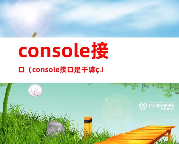 console接口（console接口是干嘛的）