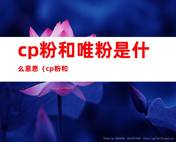 cp粉和唯粉是什么意思（cp粉和唯粉的关系）