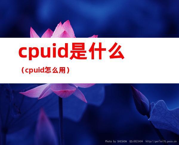 cpuid是什么（cpuid怎么用）