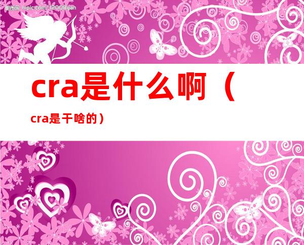 cra是什么啊（cra是干啥的）