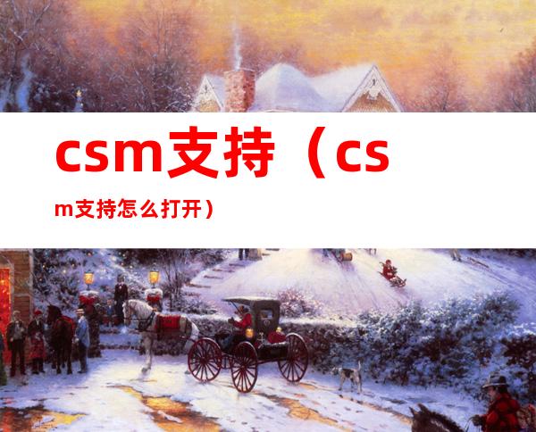 csm支持（csm支持怎么打开）