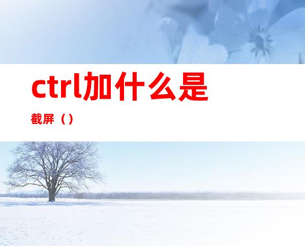 ctrl加什么是截屏（）