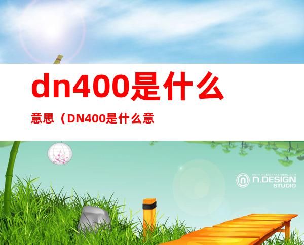 dn400是什么意思（DN400是什么意思）