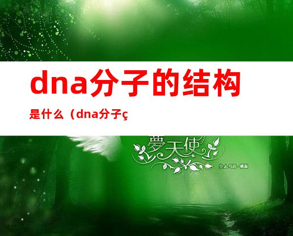 dna分子的结构是什么（dna分子的结构是什么结构0）