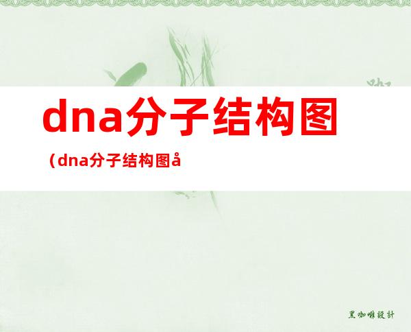 dna分子结构图（dna分子结构图名称）