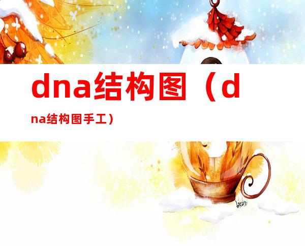 dna结构图（dna结构图手工）