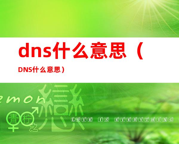 dns什么意思（DNS什么意思）