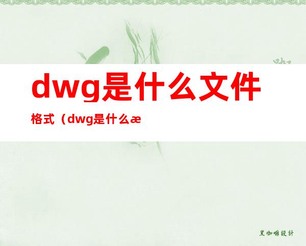 dwg是什么文件格式（dwg是什么文件格式手机下载）