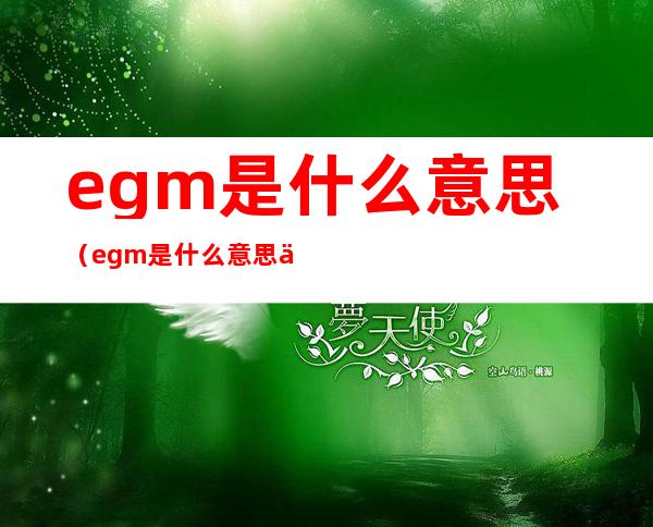 egm是什么意思（egm是什么意思中文翻译）