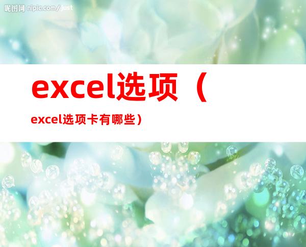 excel选项（excel选项卡有哪些）