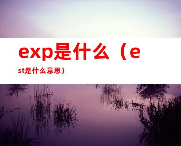 exp是什么（est是什么意思）