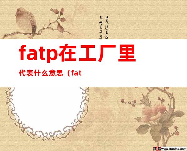 fatp在工厂里代表什么意思（fatp是什么意思）