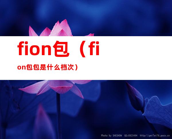 fion包（fion包包是什么档次）