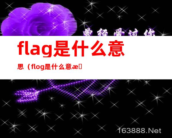 flag是什么意思（flog是什么意思）