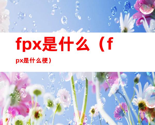 fpx是什么（fpx是什么梗）