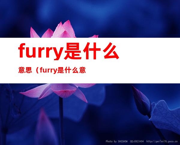 furry是什么意思（furry是什么意思中文翻译）