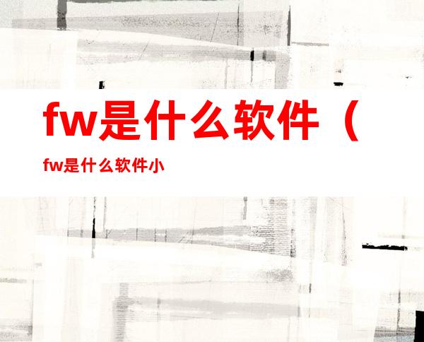 fw是什么软件（fw是什么软件小说）