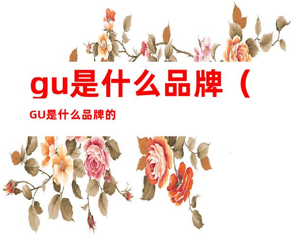 gu是什么品牌（GU是什么品牌的内六角）