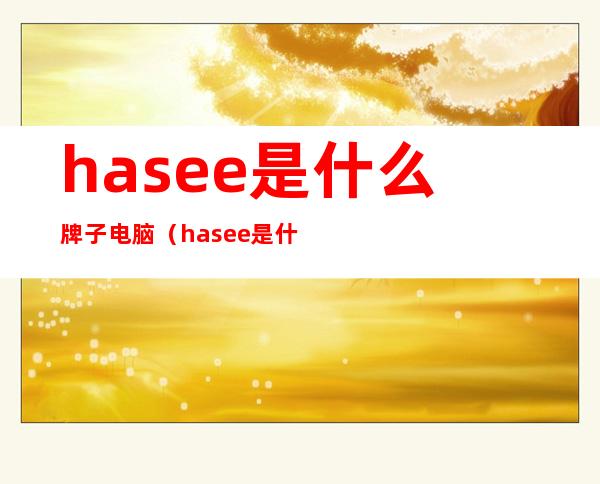 hasee是什么牌子电脑（hasee是什么牌子电脑高级吗）