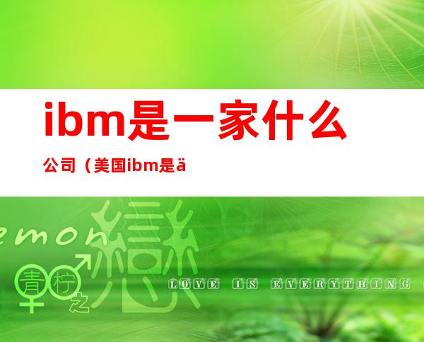 ibm是一家什么公司（美国ibm是一家什么公司）