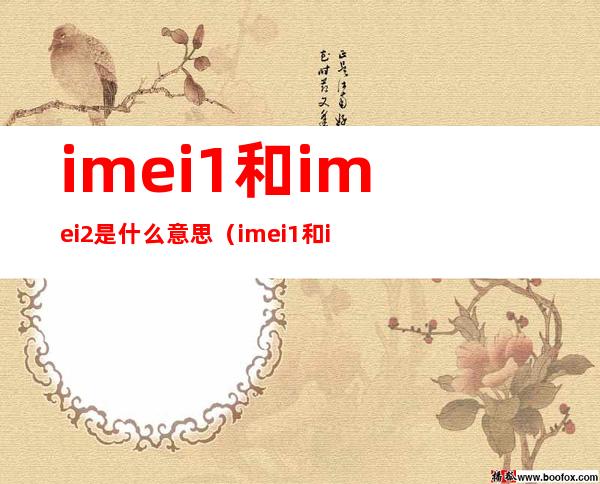 imei1和imei2是什么意思（imei1和imei2为什么不一样）