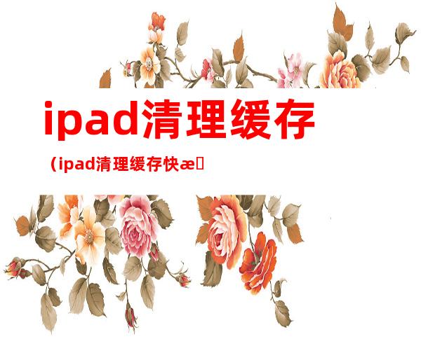 ipad清理缓存（ipad清理缓存快捷键）