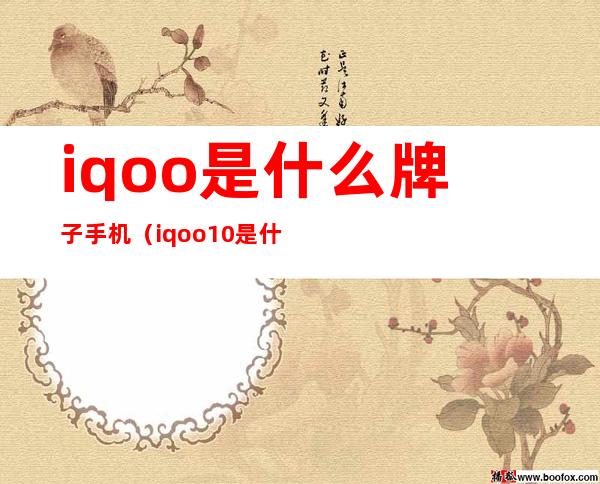 iqoo是什么牌子手机（iqoo10是什么牌子手机）