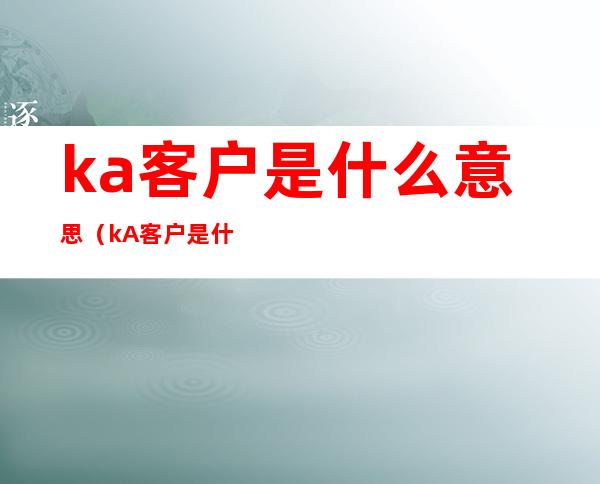 ka客户是什么意思（kA客户是什么意思）