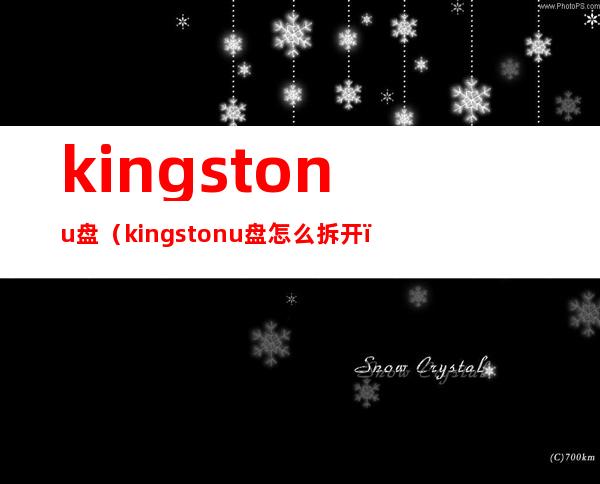 kingstonu盘（kingstonu盘怎么拆开）