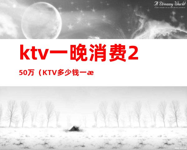 ktv一晚消费250万（KTV多少钱一晚）