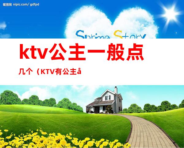 ktv公主一般点几个（KTV有公主吗）