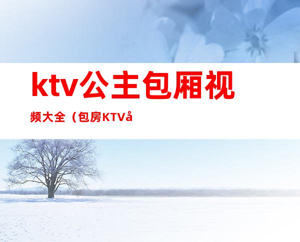 ktv公主包厢视频大全（包房KTV公主）