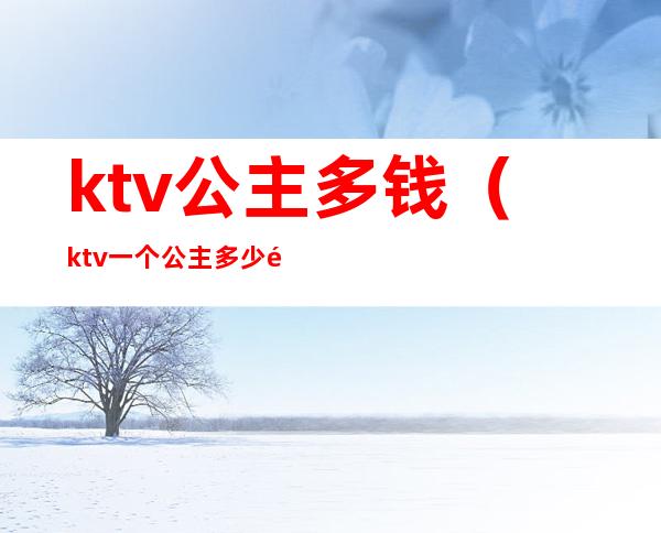 ktv公主多钱（ktv一个公主多少钱）