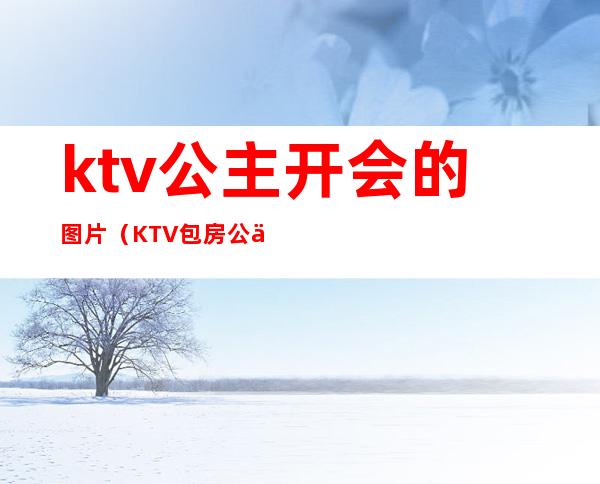 ktv公主开会的图片（KTV包房公主照片）