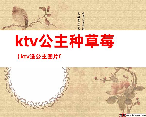 ktv公主种草莓（ktv选公主图片）