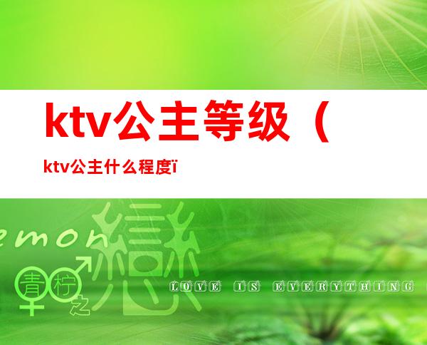 ktv公主等级（ktv公主什么程度）