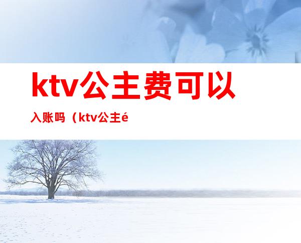 ktv公主费可以入账吗（ktv公主需要给小费吗）