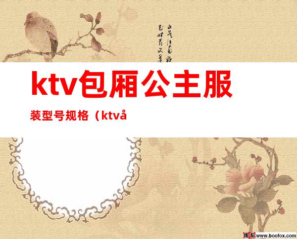 ktv包厢公主服装型号规格（ktv 公主什么价位）