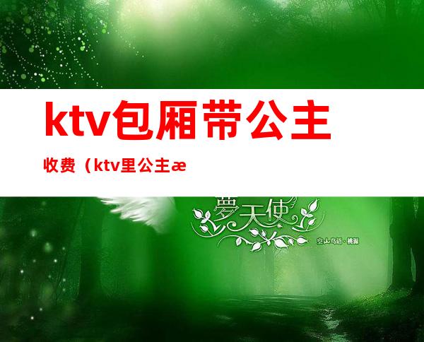 ktv包厢带公主收费（ktv里公主怎么收费）