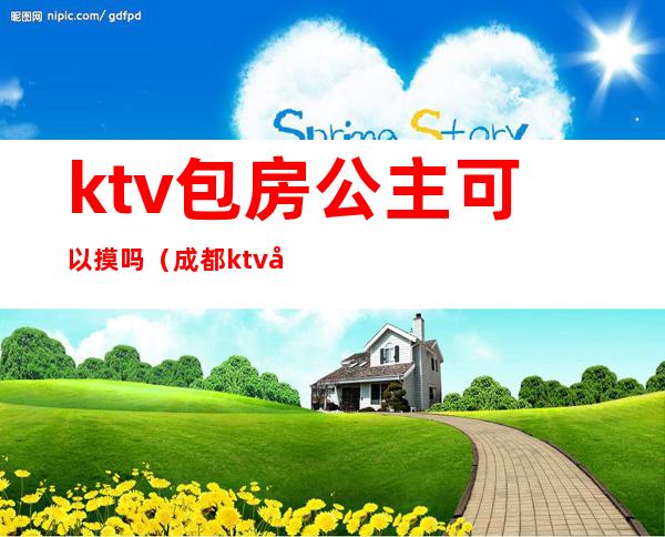 ktv包房公主可以摸吗（成都ktv包房公主一个月收入）