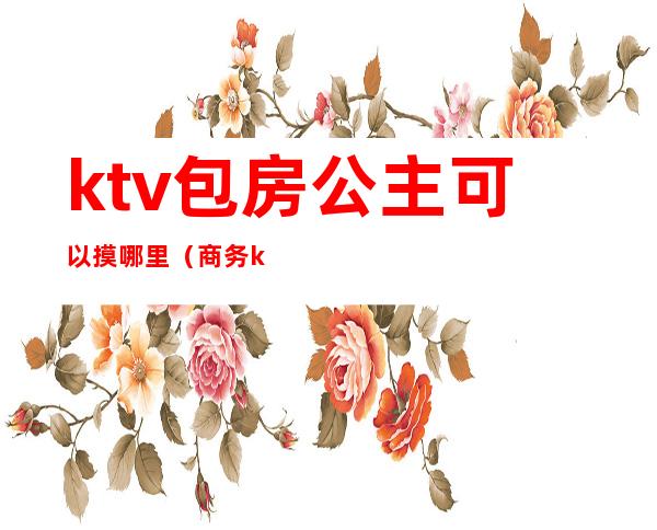 ktv包房公主可以摸哪里（商务ktv包房公主做什么的）