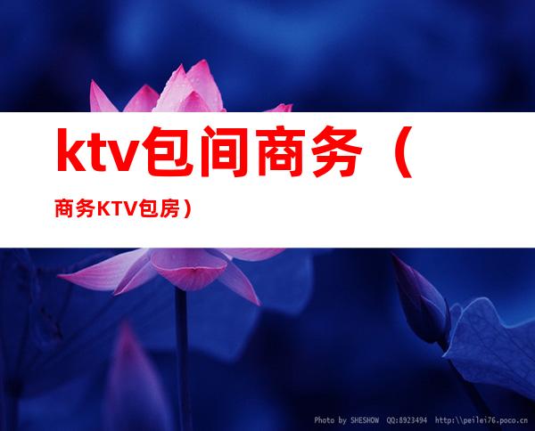 ktv包间商务（商务KTV包房）